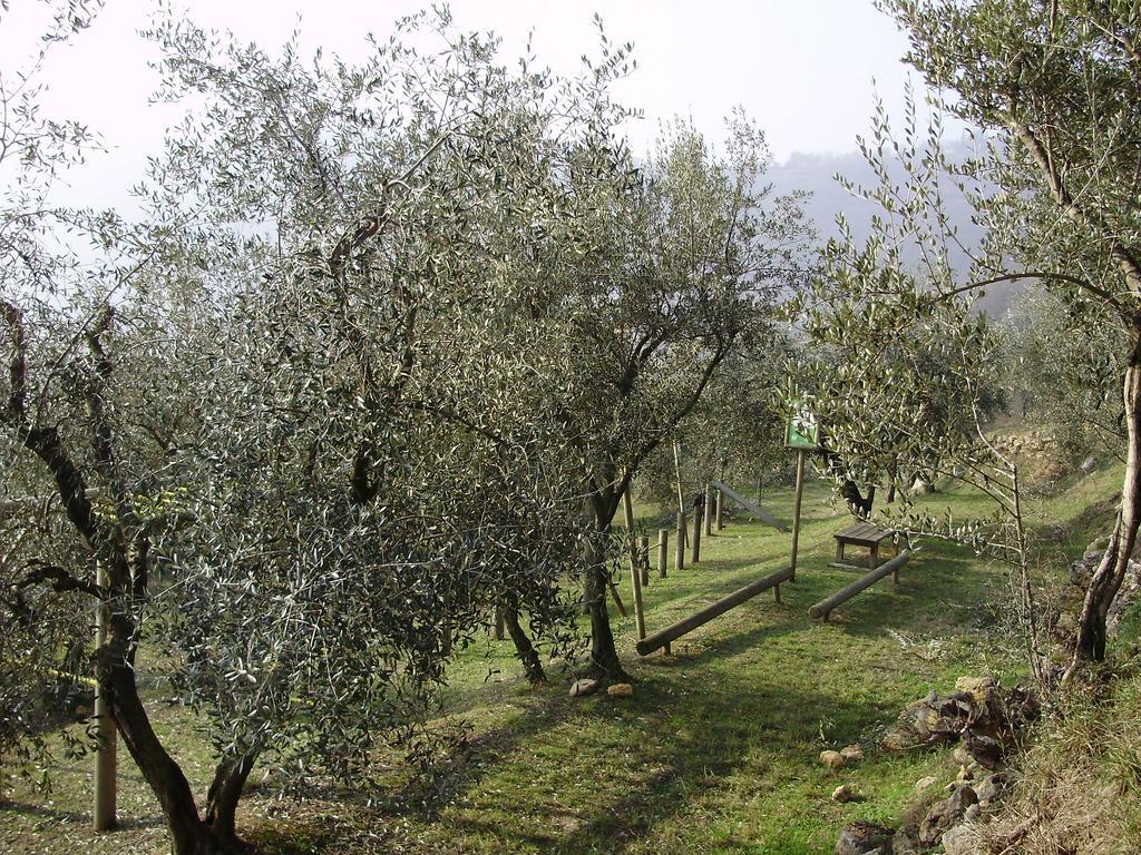 הוילה Villaga Le Mandolare מראה חיצוני תמונה